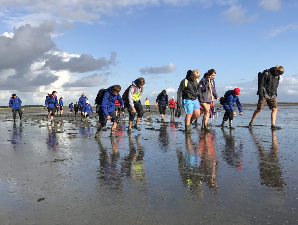 Wattwanderung mit der Wasserwacht und JRK Jugendgruppe